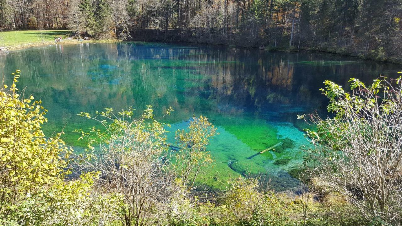 Ferienwohnung Am Eichwald Immenstadt im Allgäu Dış mekan fotoğraf