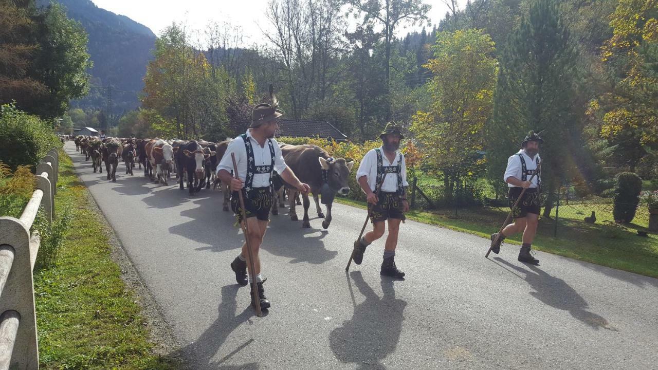 Ferienwohnung Am Eichwald Immenstadt im Allgäu Dış mekan fotoğraf